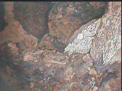 Image of drill pipe corrosion that may or may not be critical, depending on the specific application, taken by a VJ-Advance video borescope.