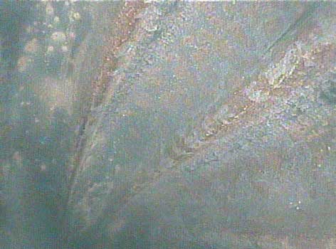 Image of a Downhole Motor Stator taken by the VJ-Advance video borescope during an inspection.