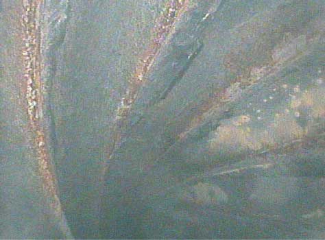 Image showing that the Elastomer is degrading taken by the VJ-Advance video borescope during a downhole motor inspection.