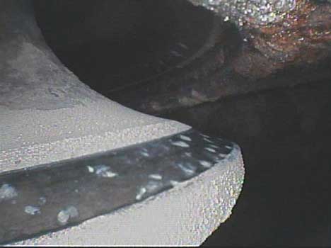 Image of an intake valve taken by a VJ-Advance video borescope during a Waukeshaw 7042 Inspection