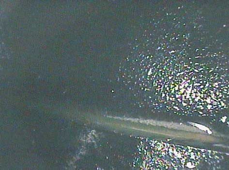 Image of coolant lying in the combustion chamber taken by a VJ-Advance video borescope during a Waukeshaw 7042 Inspection