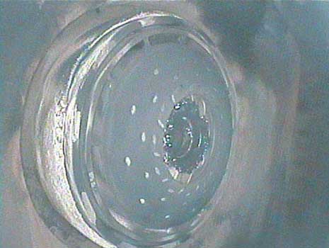 Fuel injector nozzle in a solar turbine as seen through a VJ-Advance video borescope